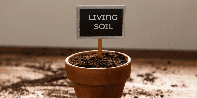 Living Soil Living Soil