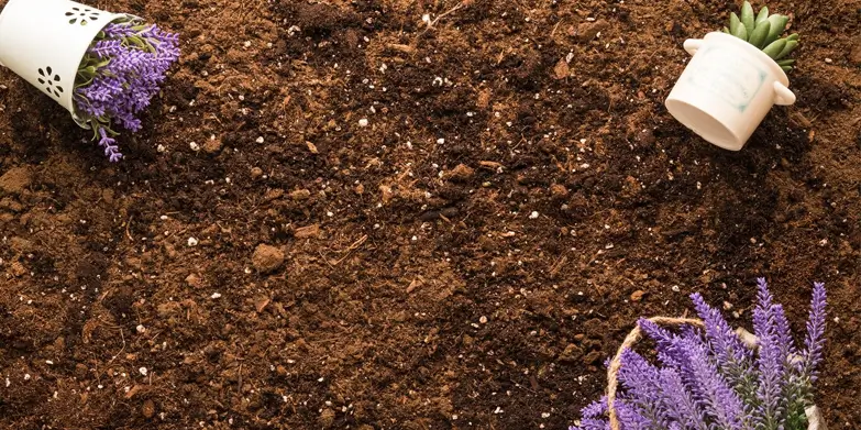 Organic Potting Soil Mix Organic Potting Soil Mix