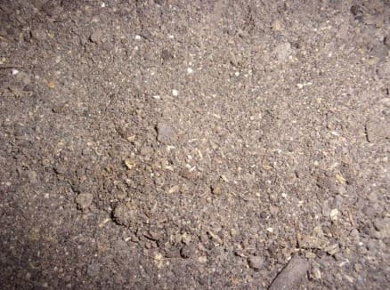 A close up of some dirt on the ground